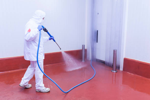 Best Graffiti Removal  in Eagle Lake, FL